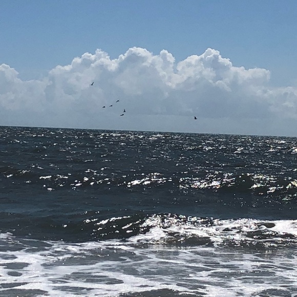 Meet your Posher, Maureen - Picture 1 of 1